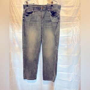 Democracy women’s size 16 denim jeans.  Excellent used condition